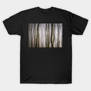 Misty Wood T-Shirt